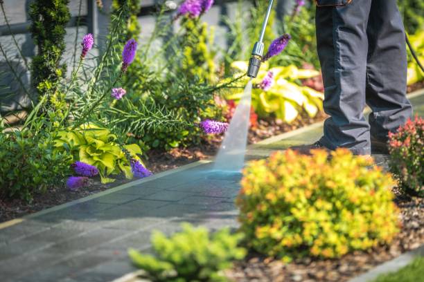 Best Restaurant Pressure Washing  in Rancho Alegre, TX