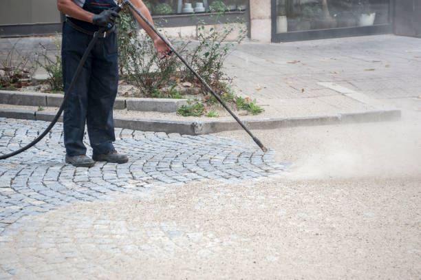 Best Building Exterior Washing  in Rancho Alegre, TX