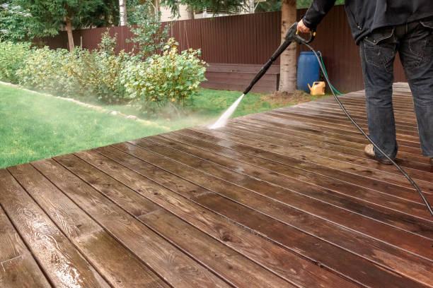 Best Rust Removal  in Rancho Alegre, TX