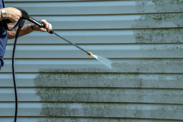 Professional Pressure Washing in Rancho Alegre, TX
