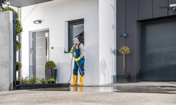 Best Solar Panel Cleaning  in Rancho Alegre, TX
